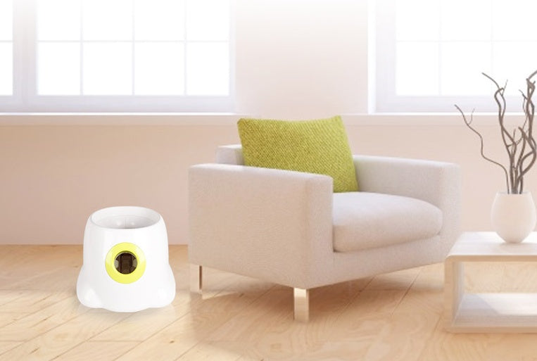Lanceur Automatique Interactif - Stimule & Amuse Votre Chien