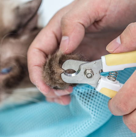 Sac de toilettage pour chat ajustable multifonctionnel