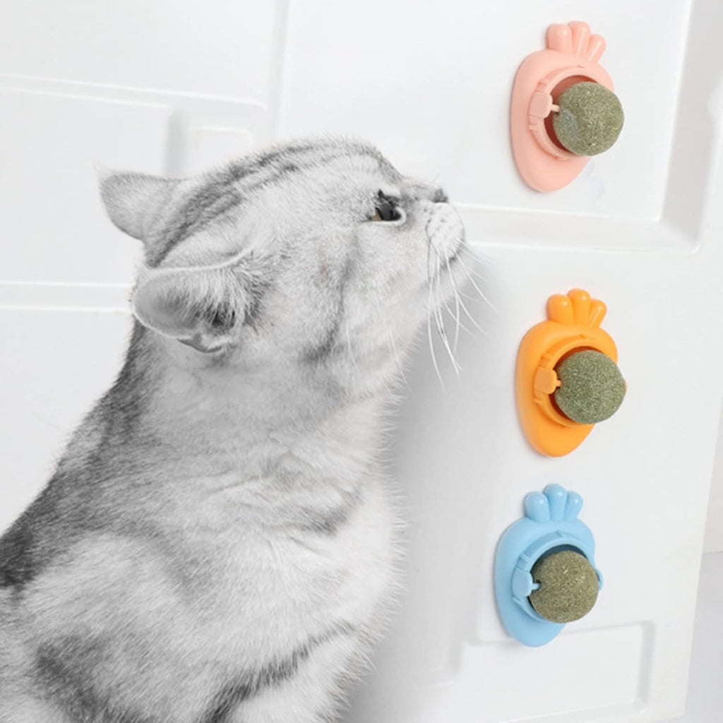 Balle à herbe à chat adhésive - jouet interactif pour chat