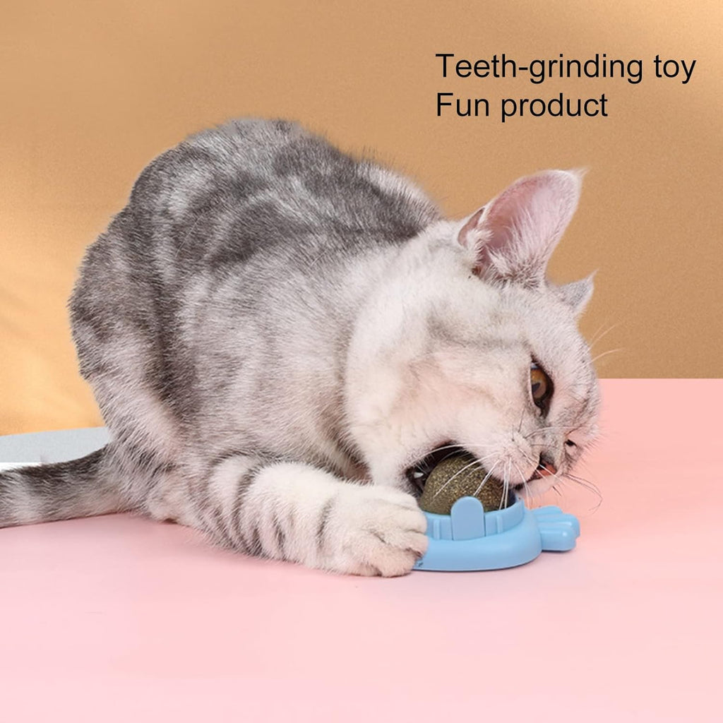 Balle à herbe à chat adhésive - jouet interactif pour chat
