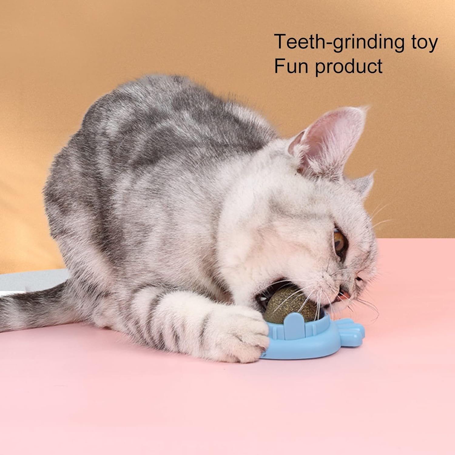 Balle à herbe à chat adhésive - jouet interactif pour chat