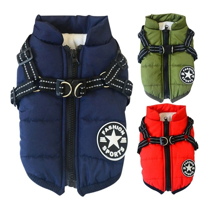 Manteau à capuche chaud et confortable pour petit chien