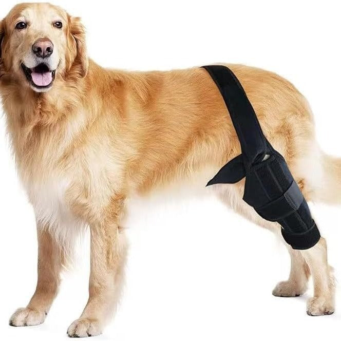 Equipement de protection pour animaux de compagnie: barre de soutien pour chien blessé à la patte, ceinture de ré education