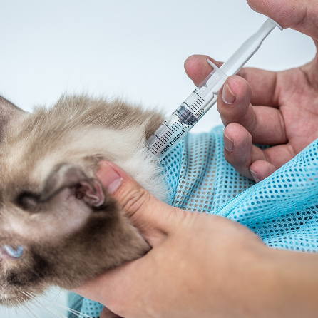 Sac de toilettage pour chat ajustable multifonctionnel