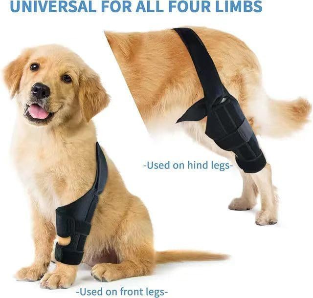 Equipement de protection pour animaux de compagnie: barre de soutien pour chien blessé à la patte, ceinture de ré education