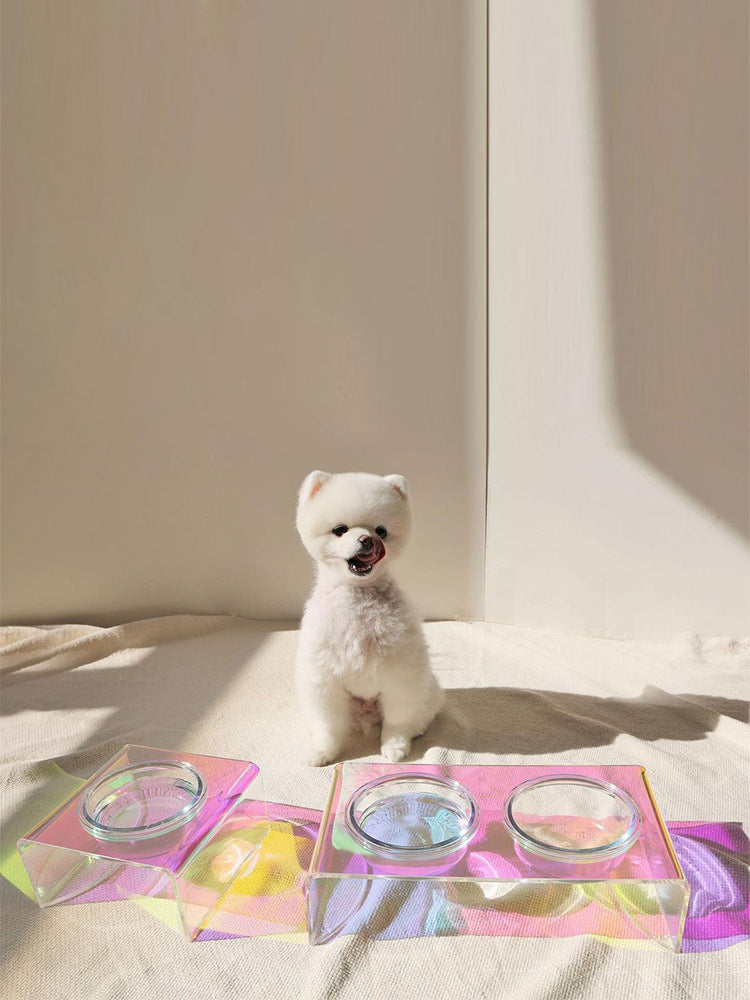 Gamelle acrylique scintillante pour petit chien