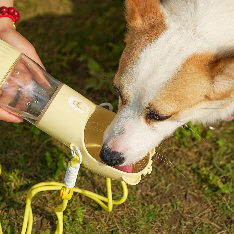 Bouteille d'eau portable pour chien compartiment gourmandise