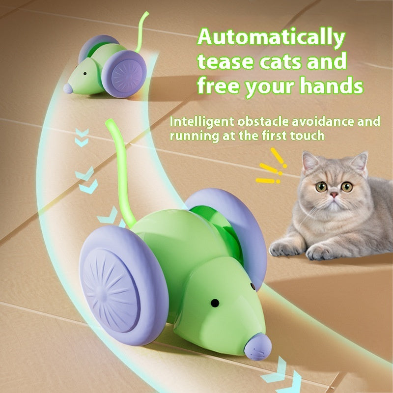 Jouet intéractif pour chat