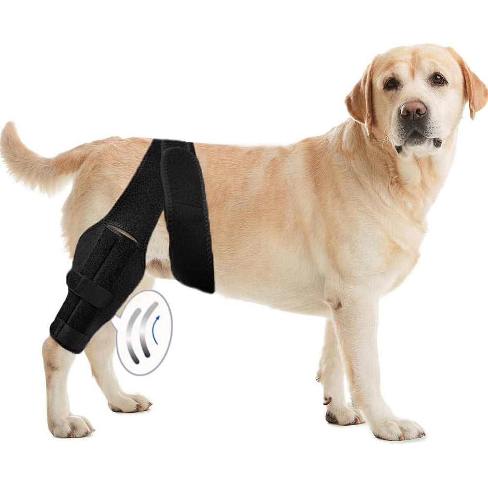 Equipement de protection pour animaux de compagnie: barre de soutien pour chien blessé à la patte, ceinture de ré education