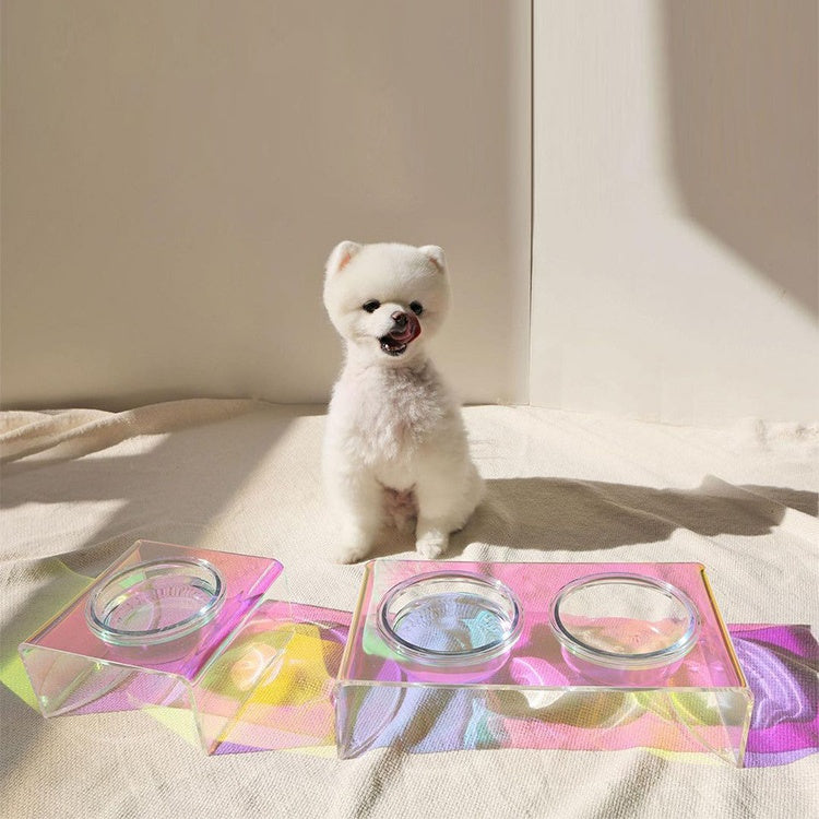 Gamelle acrylique scintillante pour petit chien
