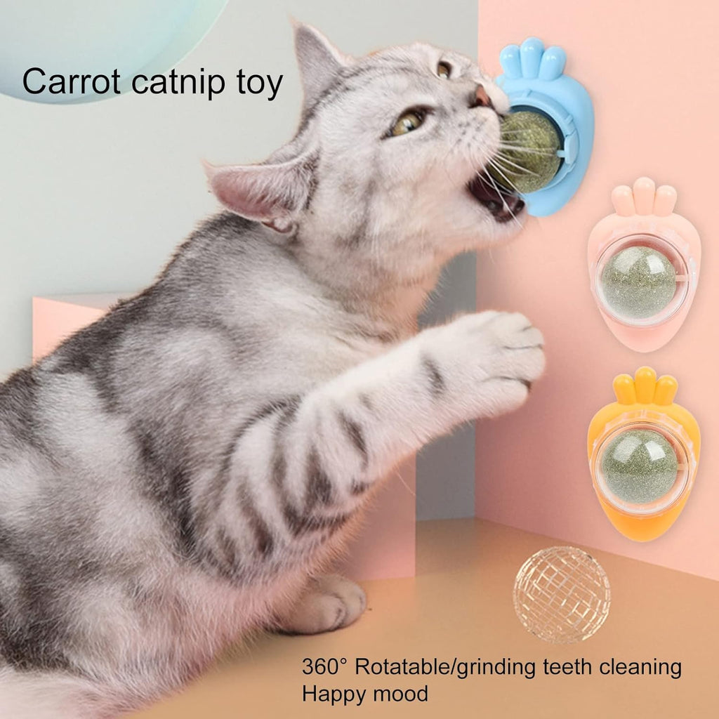Balle à herbe à chat adhésive - jouet interactif pour chat