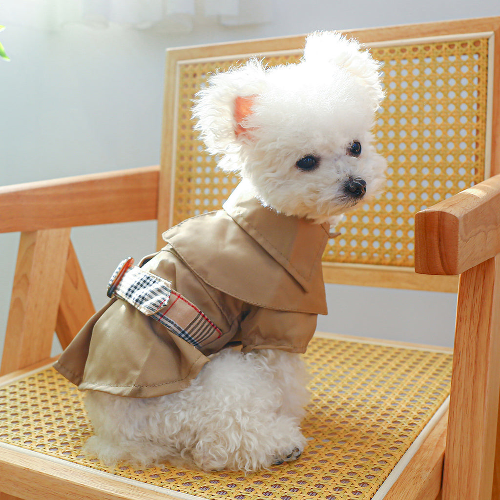 trench-coat kaki  élégant pour chien