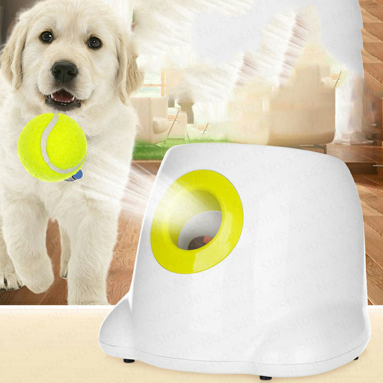 Lanceur Automatique Interactif - Stimule & Amuse Votre Chien