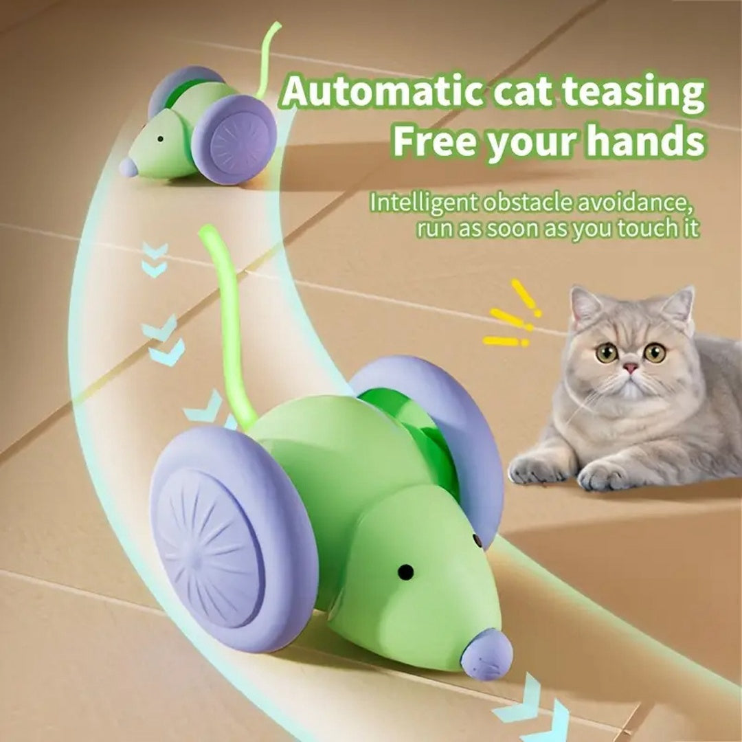 Jouet intéractif pour chat